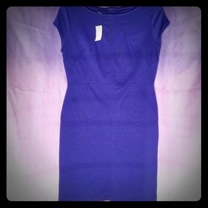 Royal Blue Dress